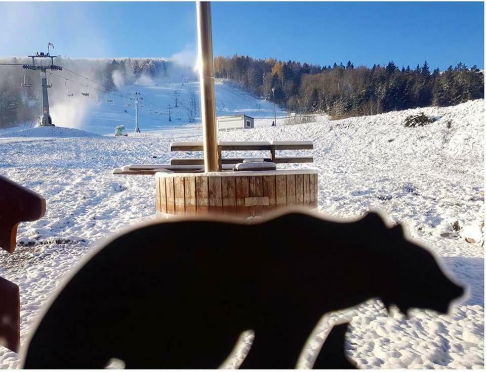 Pensjonat Laworta Ski Ustrzyki Dolne Zewnętrze zdjęcie