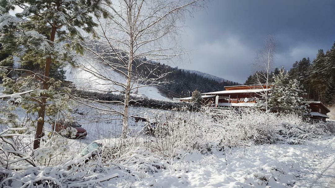 Pensjonat Laworta Ski Ustrzyki Dolne Zewnętrze zdjęcie