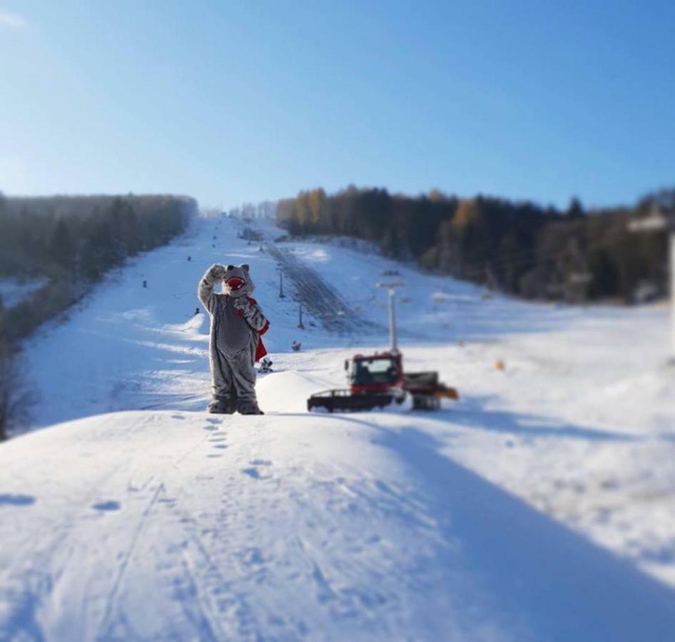 Pensjonat Laworta Ski Ustrzyki Dolne Zewnętrze zdjęcie